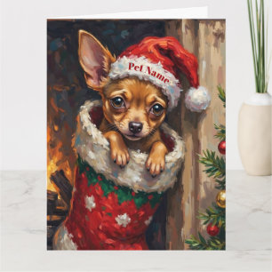 Tarjeta Chihuahua Acurrucado en Gorro de Media de Navidad