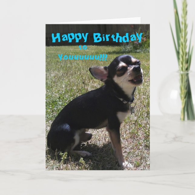 Tarjeta Chihuahua cantando ¡Feliz cumpleaños! (Anverso)