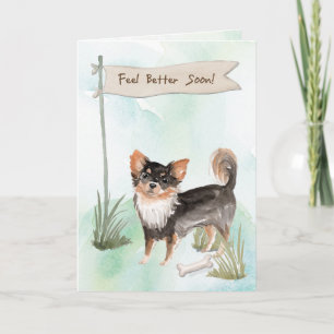 Tarjeta Chihuahua de Pelo Largo Se Siente Mejor Cirugía co