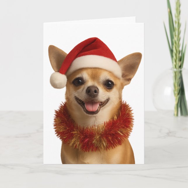 Tarjeta Chihuahua looking cheeky Santa hat Christmas card (Anverso)