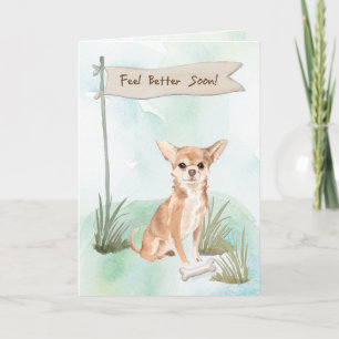 Tarjeta Chihuahua se siente mejor después de la cirugía a 
