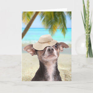 Tarjeta Chihuahua tropical de vacaciones