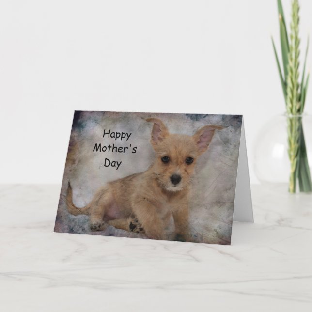 Tarjeta Chihuahua/Yorkie Puppy (Anverso)