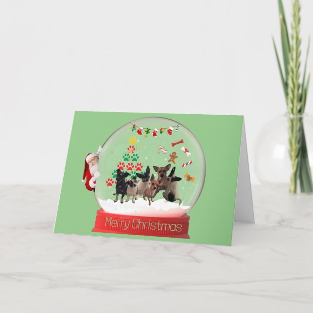 Tarjeta Chihuahuas del Globe de Nieve para navidad (Anverso)