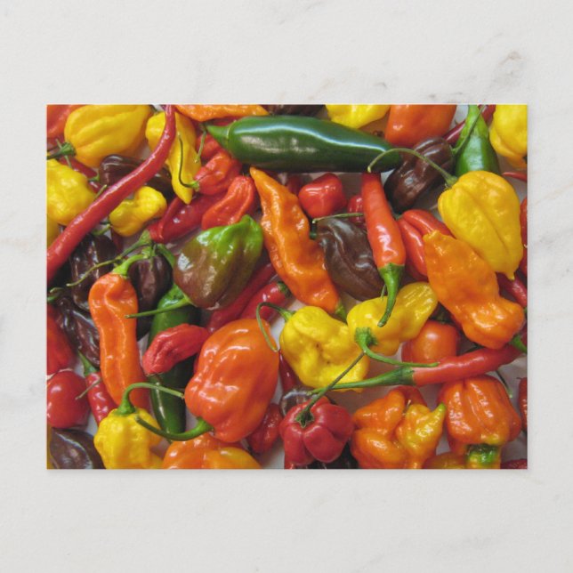 Tarjeta Chilihead (Anverso)