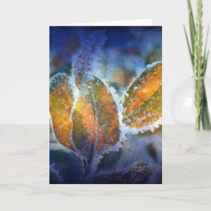 Tarjeta Chill de invierno en todas las ocasiones