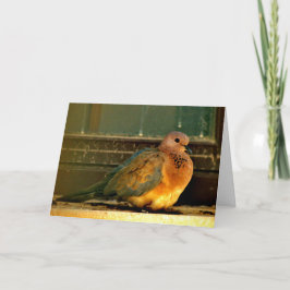 Tarjeta Chilly Dove