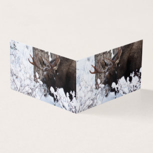 Tarjeta Chilly Moose