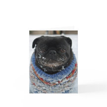 Chilly Pug Note Card - en blanco