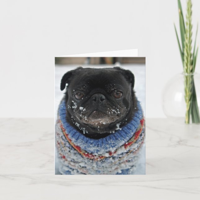 Tarjeta Chilly Pug Note Card - en blanco (Anverso)