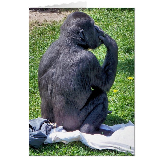 Tarjeta CHIMPANZEE (Frente)