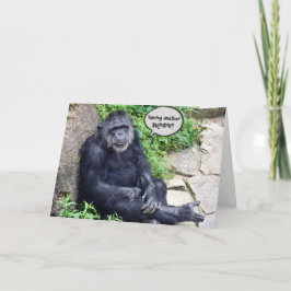 Tarjeta Chimpanzee envejeciendo