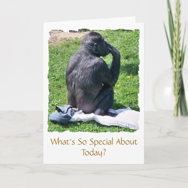 TARJETA CHIMPANZEES (Anverso)