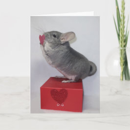 Tarjeta Chinchilla alcanzando un corazón rosa