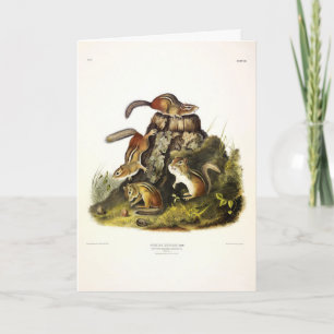 Tarjeta Chip Squirrel ( Eastern Chipmunk ) por Audubon
