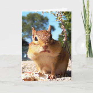 Tarjeta Chipmunk