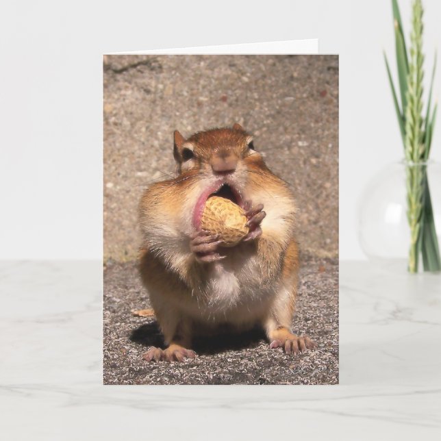 Tarjeta Chipmunk (Anverso)