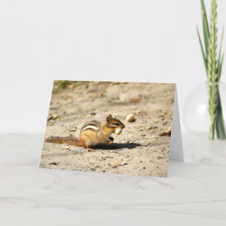 Tarjeta Chipmunk