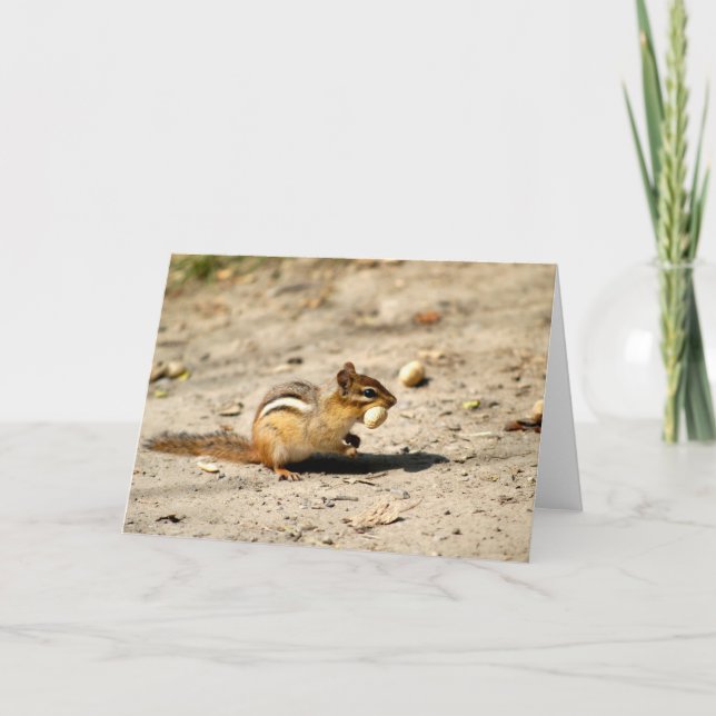 Tarjeta Chipmunk (Anverso)