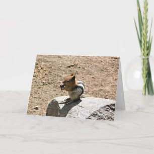 Tarjeta Chipmunk en Yosemite, California