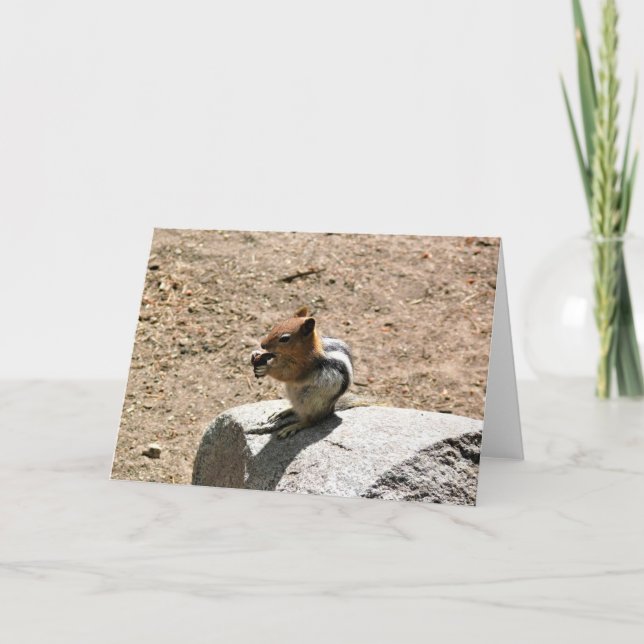 Tarjeta Chipmunk en Yosemite, California (Anverso)