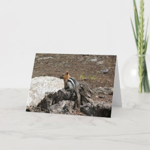 Tarjeta Chipmunk en Yosemite, California