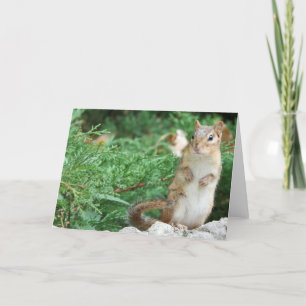 Tarjeta Chipmunk Notecard