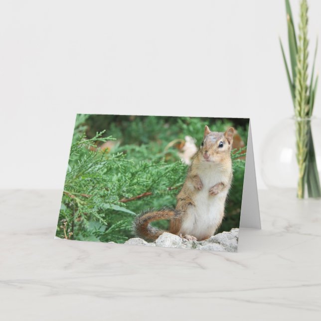 Tarjeta Chipmunk Notecard (Anverso)