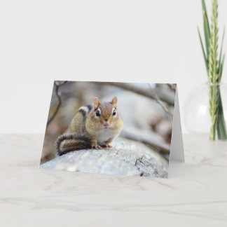 Tarjeta Chipmunk Super Cute