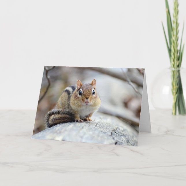 Tarjeta Chipmunk Super Cute (Anverso)