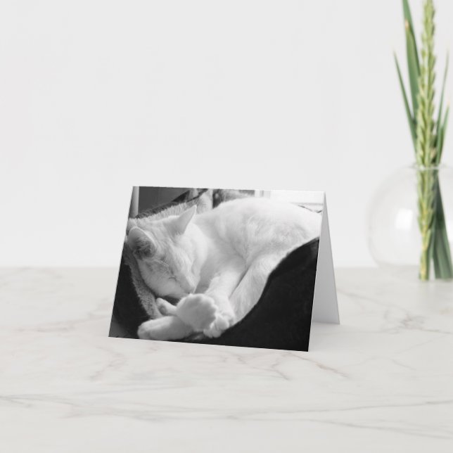 Tarjeta Chirrido el dormir (Anverso)