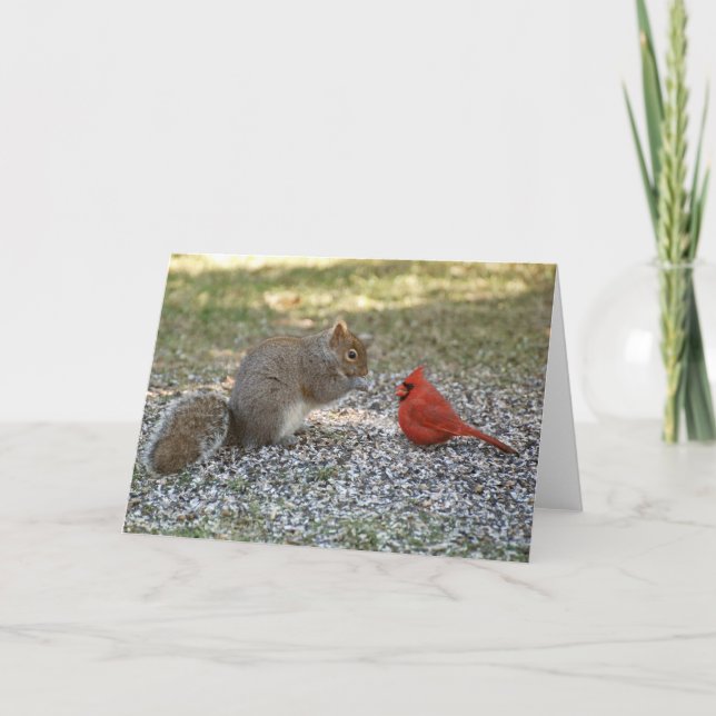 Tarjeta Chisme del patio trasero (Anverso)