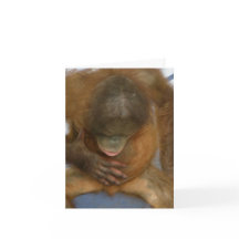 Chiste de la cirugía de la vasectomía