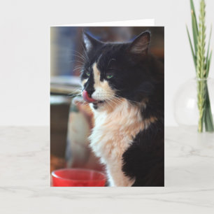 Tarjeta Chloe se lame