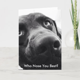 Tarjeta Chocolate Lab Care & Concern Greeting Card