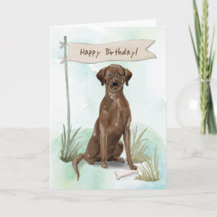 Tarjeta Chocolate Lab Perro bajo Rótulo de cumpleaños