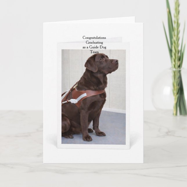 Tarjeta Chocolate Labrador Guide Dog Graduation (Anverso)