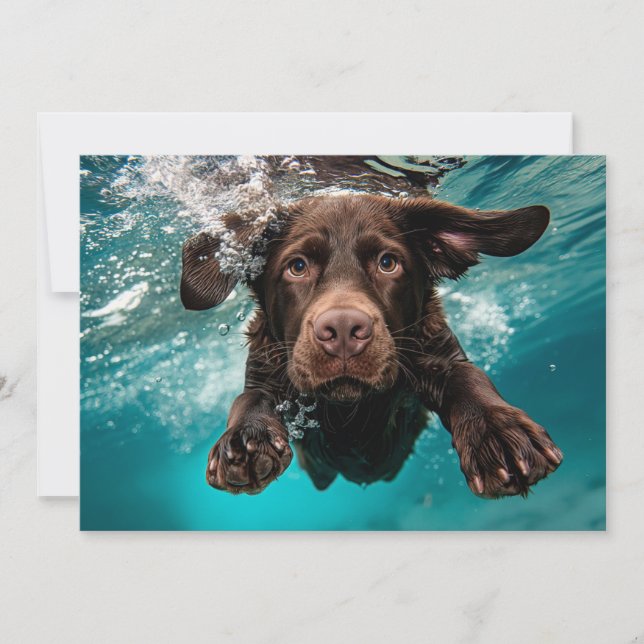Tarjeta Chocolate labrador juguetón nadando bajo el agua (Anverso)