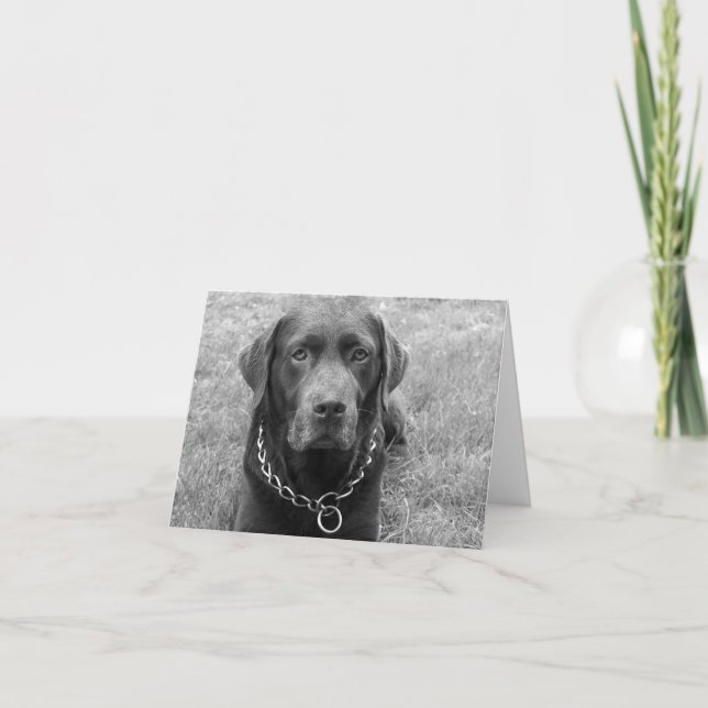 Tarjeta Chocolate Labrador Recuperador Puppy Dog Note Card (Anverso)