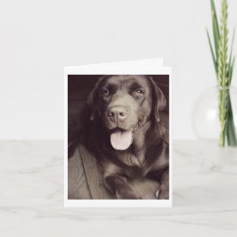Tarjeta Chocolate Labrador Recuperador Puppy Dog Note Card