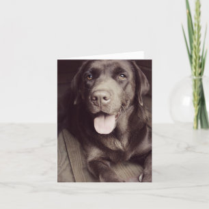 Tarjeta Chocolate Labrador Recuperador Puppy Dog Note Card