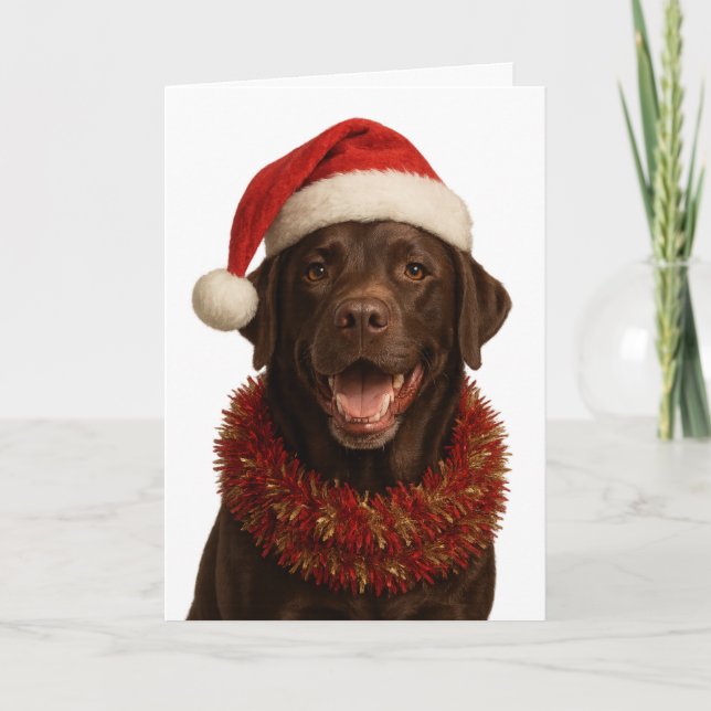 Tarjeta Chocolate Labrador Retriever Dog Christmas card (Anverso)