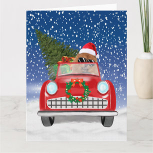 Tarjeta Chow Chow Perro Conductor Auto En Nieve