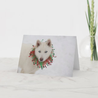 Tarjeta Christmas Dog