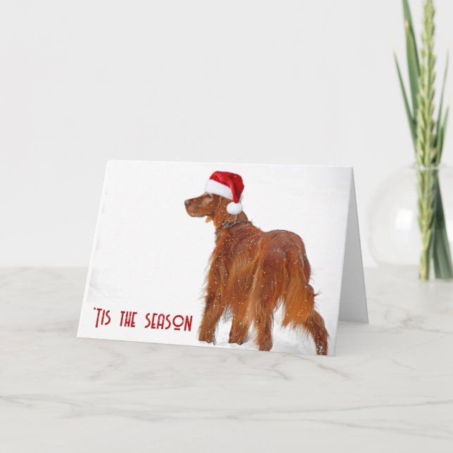 Tarjeta Christmas Irish Setter In Snow (Anverso)