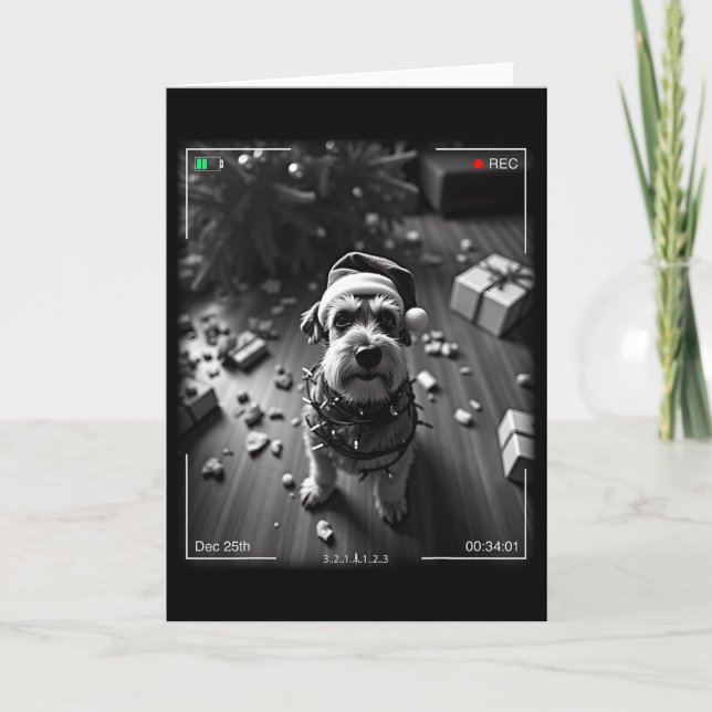 Tarjeta Christmas Schnauzer Caught On Camera  (Anverso)