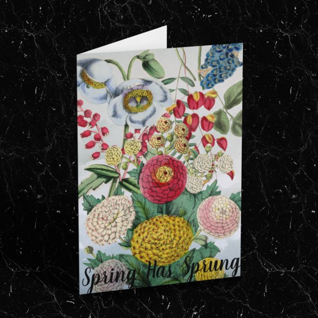 Tarjeta Chrysanthemum Poppy Lilac personalizado (Subido por el creador)