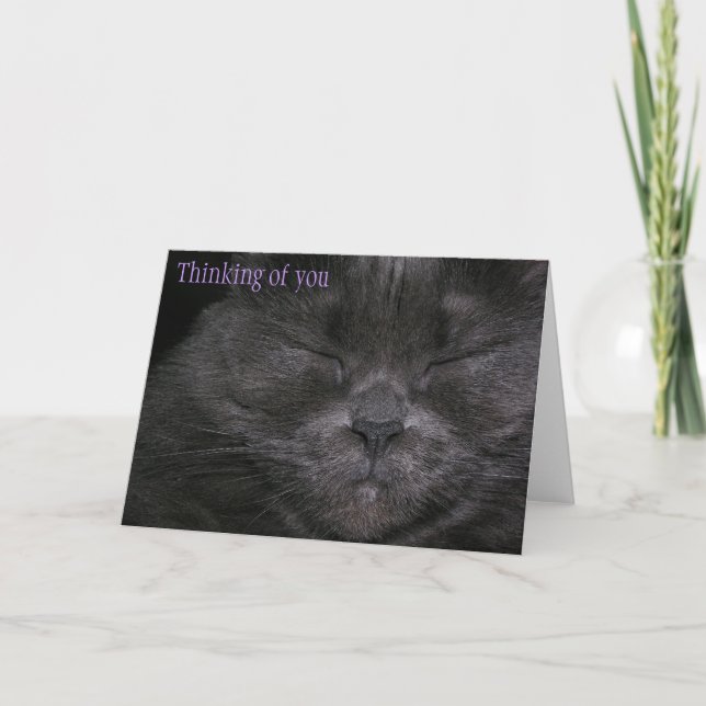 Tarjeta Chubby Kitty pensando en ti (Anverso)