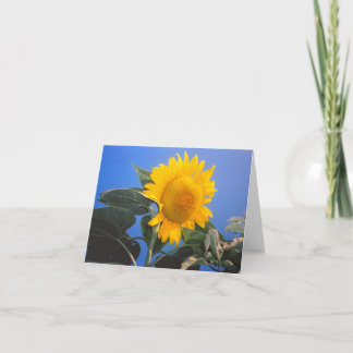 Tarjeta Cielo azul girasol