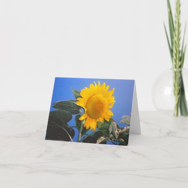 Tarjeta Cielo azul girasol (Anverso)